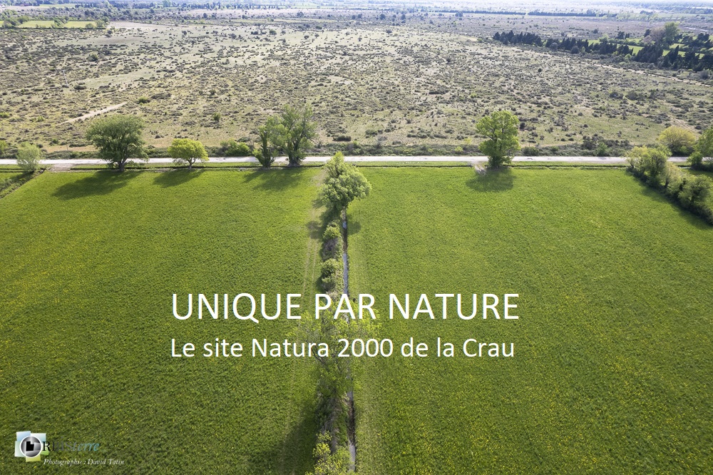 Unique par nature