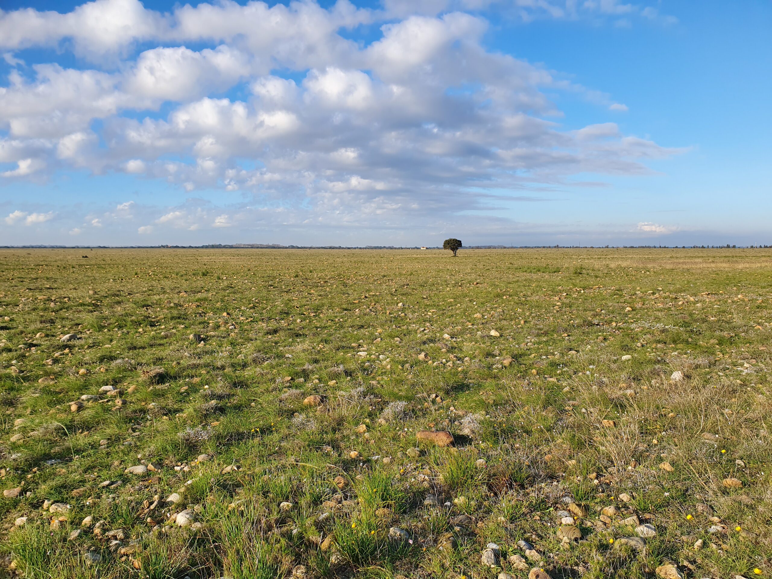 Sollicitez le SYMCRAU sur un projet d’aménagement